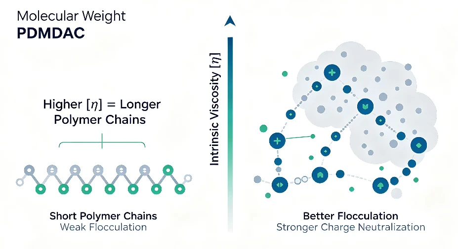 Why Molecular Weight Matters 2 Why Molecular Weight Matters 2